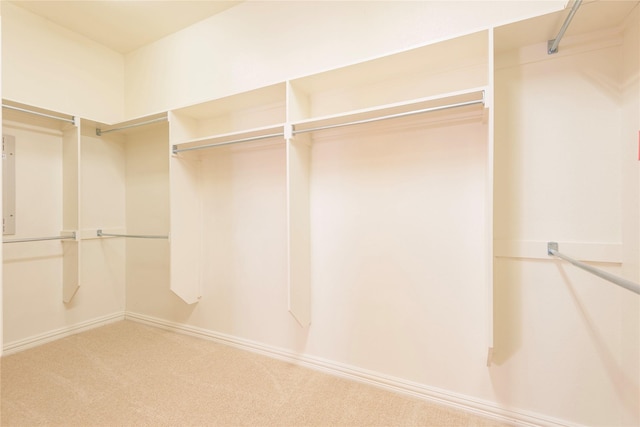 spacious closet with carpet flooring