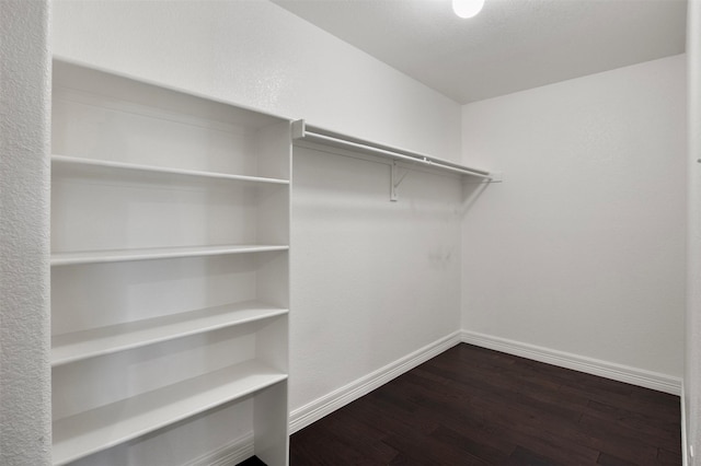 walk in closet with dark hardwood / wood-style flooring