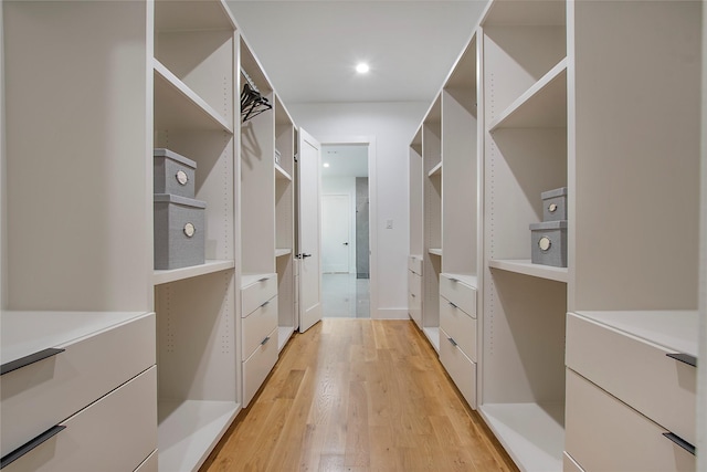 spacious closet with light wood-type flooring