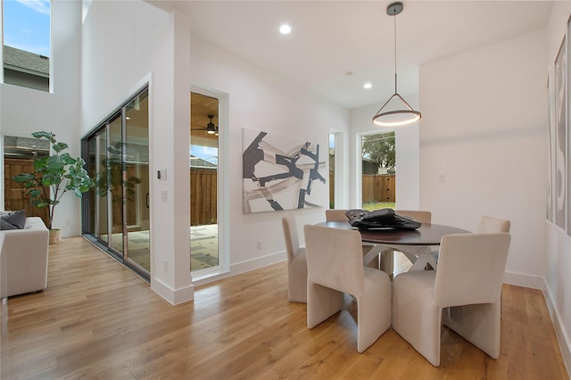 dining space featuring ceiling fan and light hardwood / wood-style flooring