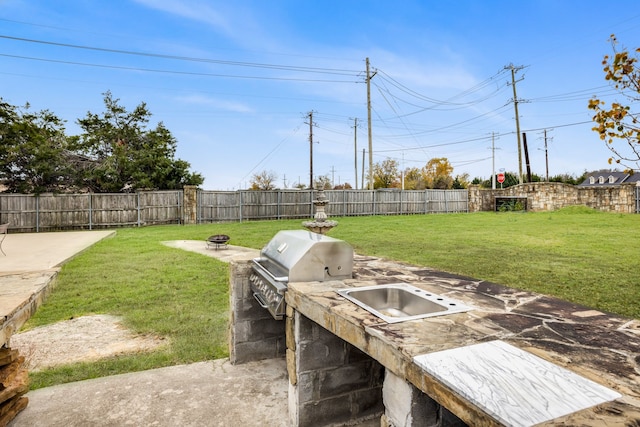 view of yard with exterior kitchen