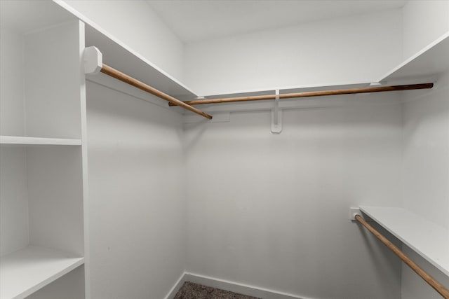 spacious closet featuring carpet