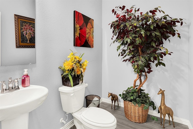 bathroom with wood-type flooring, sink, and toilet