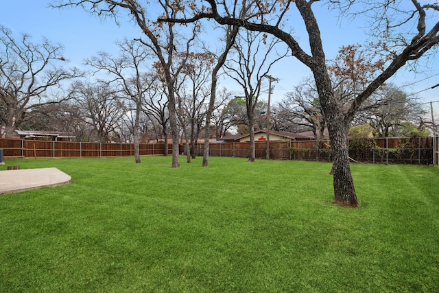 view of yard