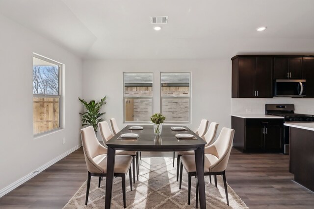 kitchen with dark brown cabinetry, appliances with stainless steel finishes, dark hardwood / wood-style flooring, and backsplash