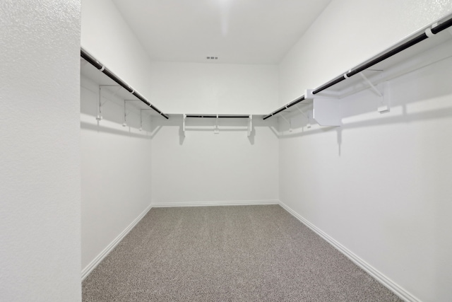 spacious closet with carpet