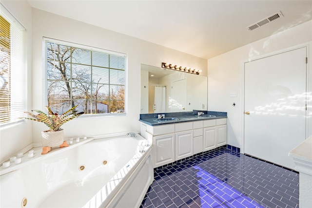 bathroom featuring vanity and a bathing tub