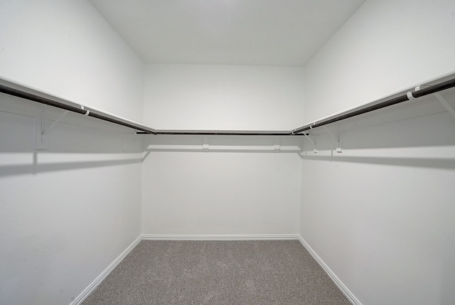 walk in closet with carpet