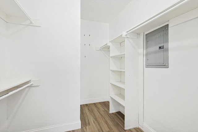 spacious closet with electric panel and wood-type flooring