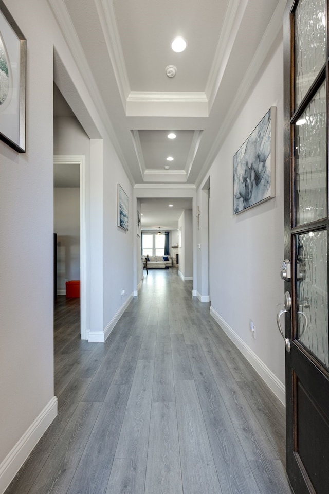 foyer entrance featuring ornamental molding, a tray ceiling, and hardwood / wood-style floors