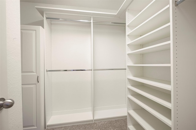 spacious closet featuring carpet