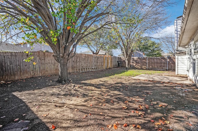 view of yard featuring a patio area