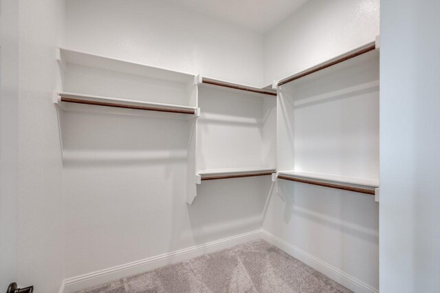 walk in closet featuring carpet floors