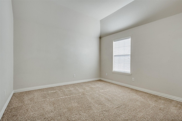 spare room with carpet