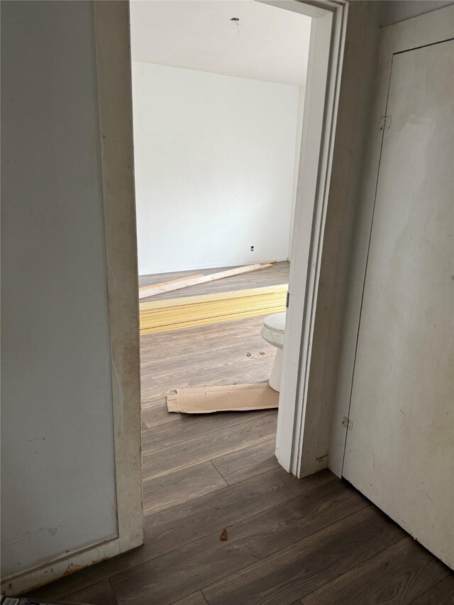 hallway featuring dark hardwood / wood-style flooring