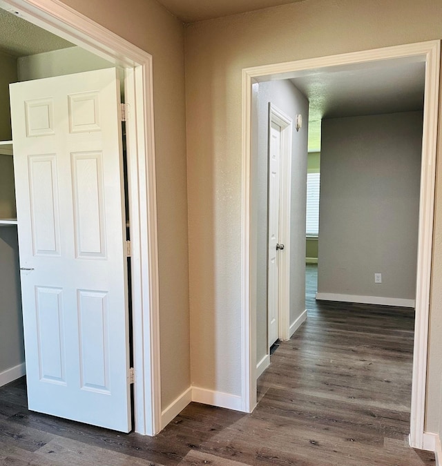 hall featuring dark hardwood / wood-style flooring