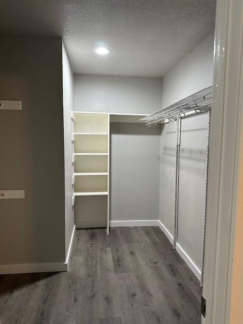 spacious closet featuring hardwood / wood-style floors