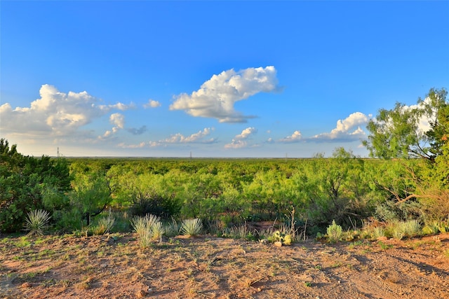 view of nature featuring a rural view