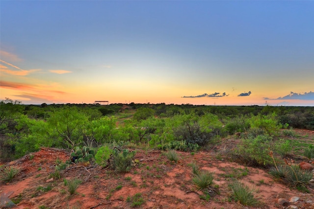 view of nature at dusk