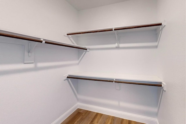 walk in closet with wood-type flooring