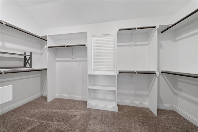 walk in closet with carpet floors