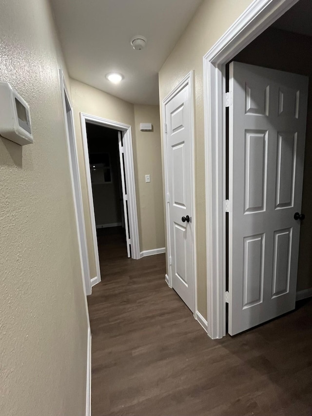 hallway featuring dark hardwood / wood-style flooring