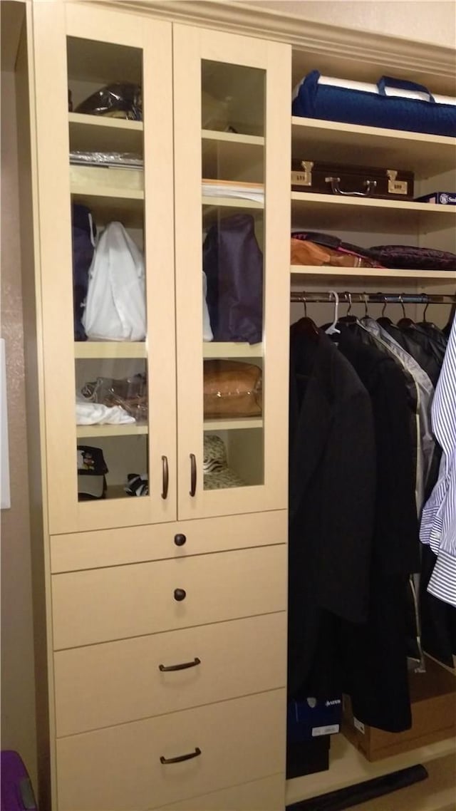 view of closet