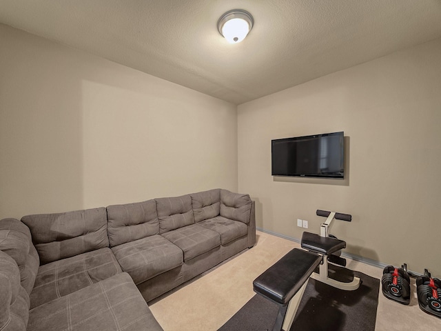 carpeted living room with a textured ceiling