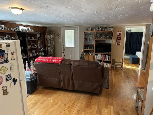 living room featuring light hardwood / wood-style flooring and a textured ceiling