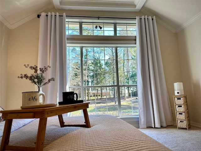 interior space featuring crown molding and high vaulted ceiling