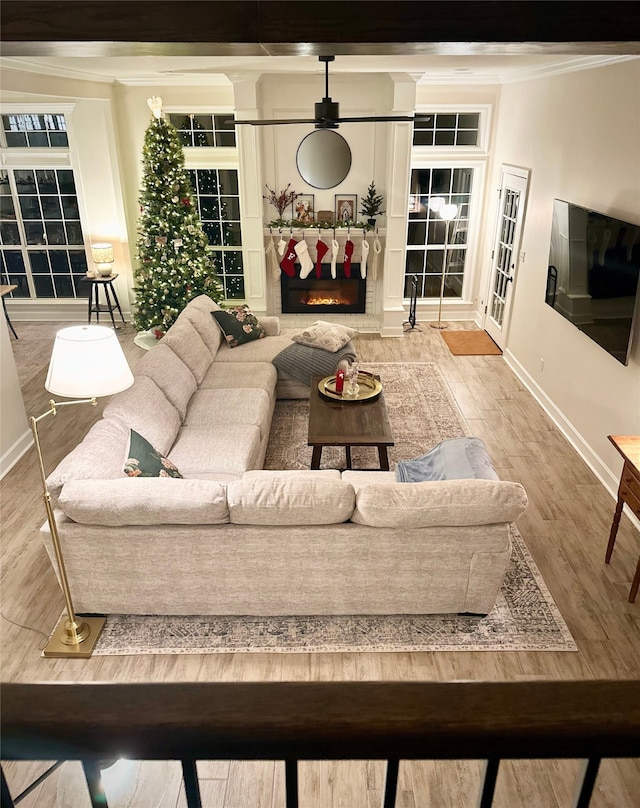 living room featuring hardwood / wood-style flooring and crown molding