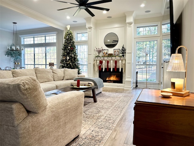 living room featuring ceiling fan, plenty of natural light, crown molding, and light wood-type flooring