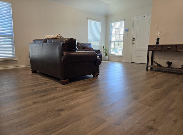 living room with dark hardwood / wood-style flooring