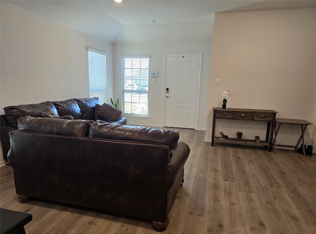 living room featuring wood-type flooring and lofted ceiling