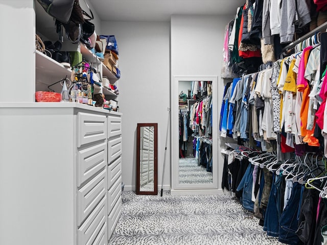 view of walk in closet