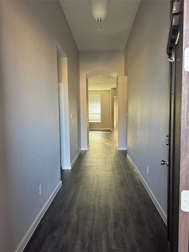 hall with dark wood-type flooring