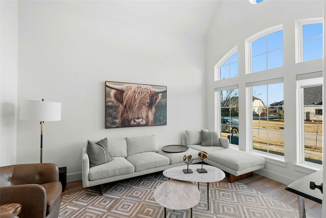 living room featuring wood-type flooring, plenty of natural light, and a high ceiling