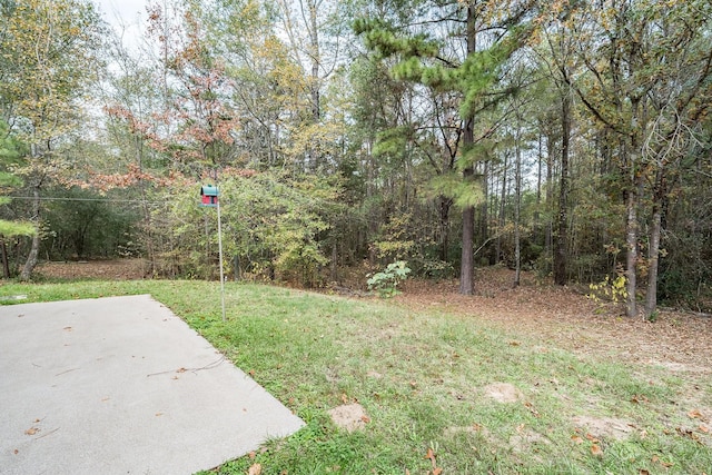 view of yard with a patio area