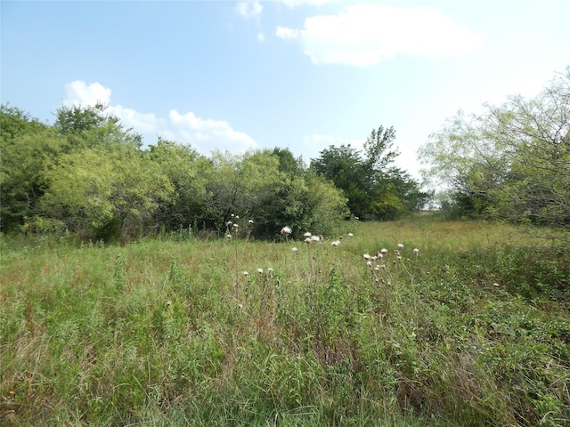 Listing photo 2 for TR23SE County Road 3010, Corsicana TX 75109