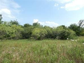 Listing photo 3 for TR23SE County Road 3010, Corsicana TX 75109