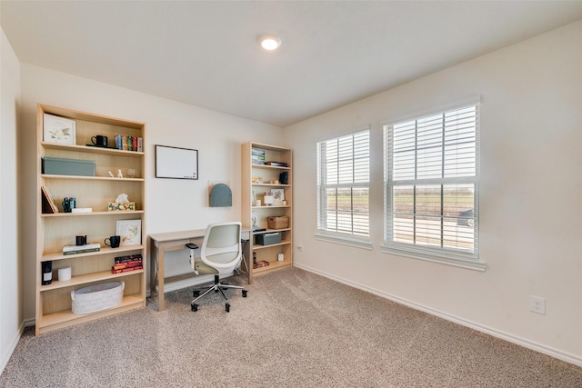 home office with carpet floors