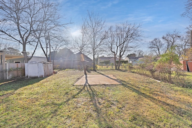 view of yard featuring a patio and a storage shed