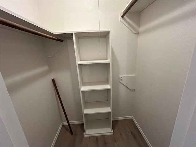 spacious closet with dark hardwood / wood-style flooring