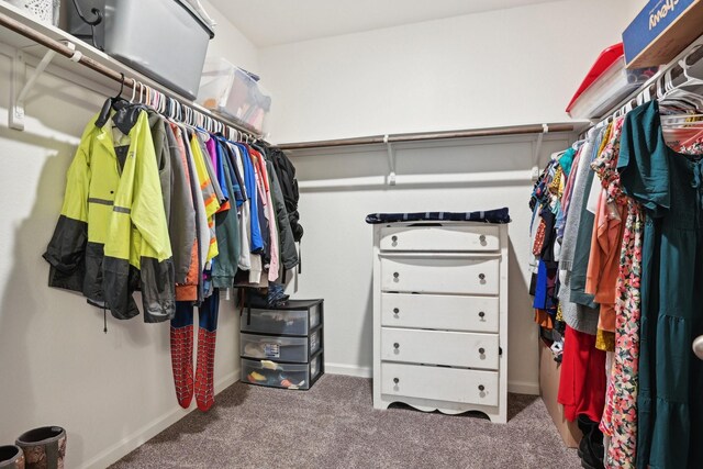 spacious closet with carpet