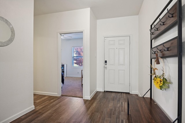 entrance foyer with dark hardwood / wood-style flooring