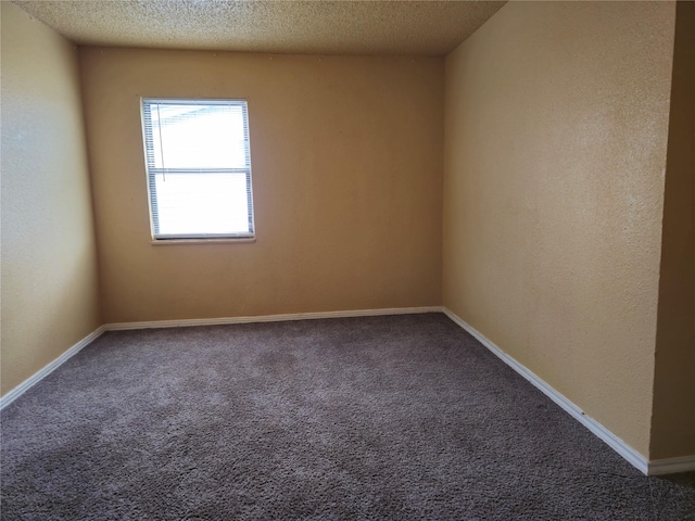 empty room featuring carpet and a textured ceiling