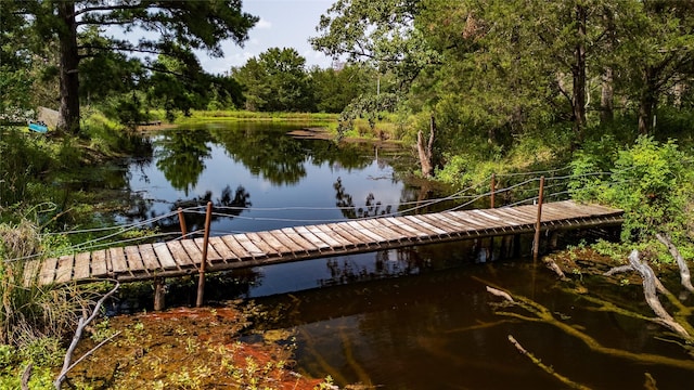 dock area featuring a water view