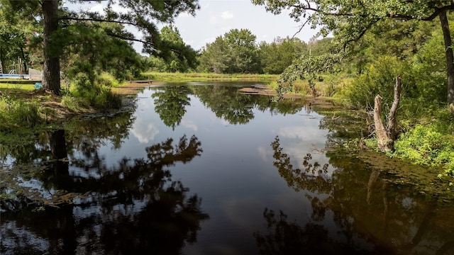 view of water feature