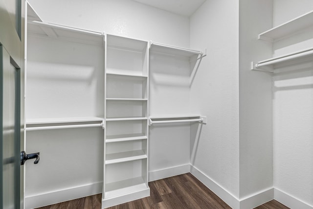 walk in closet with dark wood-type flooring