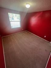 bonus room featuring carpet flooring